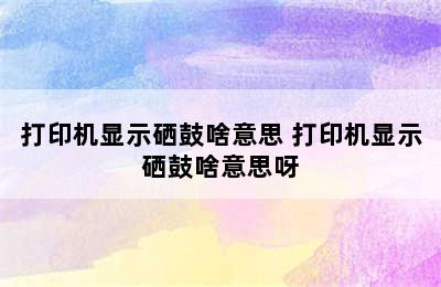 打印机显示硒鼓啥意思 打印机显示硒鼓啥意思呀